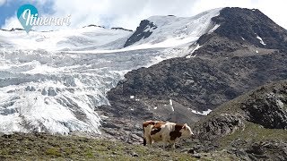 ITINERARI LA VALLE DEI FORNI IL GHIACCIAIO DEI FORNI [upl. by Oirromed]