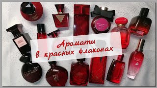 Ароматы в 🎀Красных Флаконах2 🎀2023 [upl. by Anitnauq290]