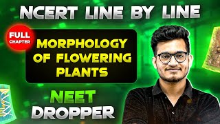 Morphology of Flowering Plants FULL CHAPTER  NCERT Class 11th Botany  Chapter 4  Yakeen NEET [upl. by Marni]