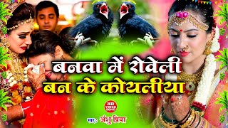 दर्द भरा बेटी विवाह गीत  बनवा में रोवे बन के कोयलिया  Anshu Priya Shadi Vivah Geet 2023 [upl. by Eural]