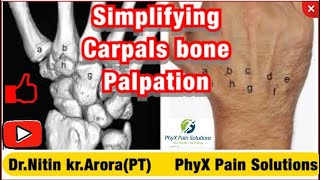 Simplifying Wrist Joint And Carpal Bone Palpation  Nitin Kumar Arora  PhyX Pain Solutions [upl. by Lawson350]