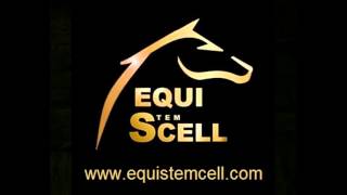 Equistemcell  traitement par cellules souches embryonnaires [upl. by Enid]