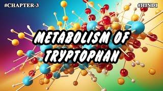 Chapter  3  Metabolism Of Amino Acids  Tryptophan Metabolism Part8  Hindi [upl. by Nehpets]