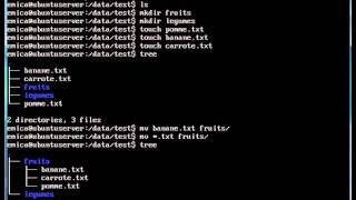 Linuxubuntuserver  manipulation de fichiers  touch  cp  mv  rmavi [upl. by Vogel]