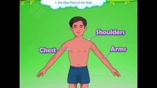 Learn Grade 1  EVS  Parts of the Body for Kids  KidsClassroom [upl. by Peednam92]