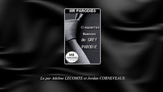 Cinquante Nuances de Grey Parodie  LIVRE AUDIO 16 [upl. by Vassell465]