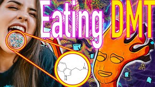 First Time Eating DMT  illustrated NNDMT Trip Report  Pharmahuasca [upl. by Anirtek260]