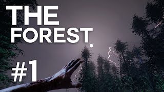 The Forest  Episodul 1 [upl. by Eldwin18]