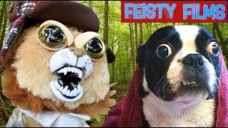 Hilarious Feisty Films Nature Compilation Vol 3 [upl. by Kaliski]