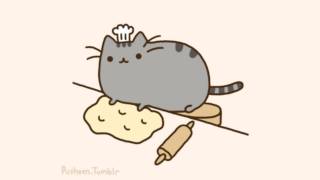 Baker Cat [upl. by Grantland802]