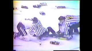 Bobby Orr BOS vs Keith Magnuson CHI [upl. by Oys]