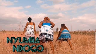 ZuchuNyumba NdogoOfficial Video Cover By Zayntana [upl. by Sylram]