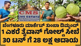 ತೈವಾನ್ ಸೀಬೆ 1 ಎಕರೆಗೆ 28 ಲಕ್ಷ ಆದಾಯ  Guava  Taiwan Guava  Kannada Naadu [upl. by Sayles595]