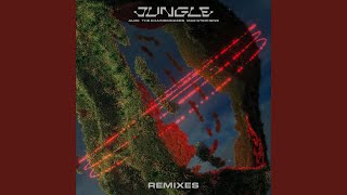 Jungle Arcando Remix [upl. by Sivahc]