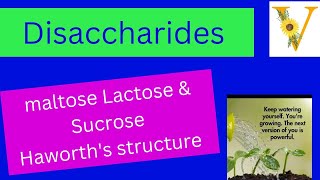 disaccharides  maltose  lactose  sucrose  haworth structural formula [upl. by Pisarik427]