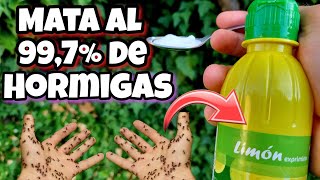 No VOLVERÁS a ver HORMIGAS ni HORMIGUEROS en tus PLANTAS Hogar o jardín con este Remedio casero [upl. by Simmie]