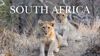 Our Honeymoon Safari in South Africa [upl. by Jacquette]