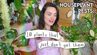 Plants That Dont Get Pests 🪳 10 Houseplants That Ive Never Found Pests On [upl. by Melesa]