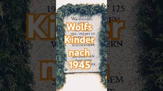 Deutsche Wolfskinder – Verloren nach dem Krieg historyfacts geschichte erklärvideo shorts ww2 [upl. by Airan]