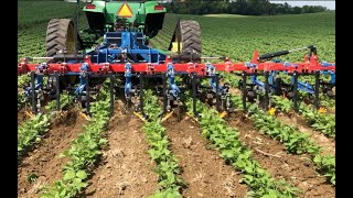 Organic Bean Cultivation Using The Hatzenbichler Cultivator With Camera Hitch and Finger Weeders [upl. by Dilahk]