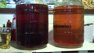 How to Make Hard Cider at Home with Fresh or StoreBought Cider [upl. by Schiro69]