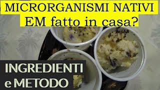 i MICRORGANISMI NATIVI elaborare la SOLUZIONE MADRE [upl. by Malin30]