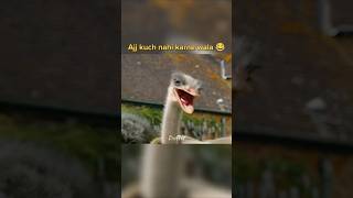 Drdolittle 🤣 shorts youtubeshorts viralshorts [upl. by Sakiv]