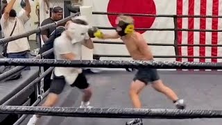 MONSTER SPARRING  NAOYA INOUE LANDING EXPLOSIVE PUNCHES SPARRING AT WILD CARD  井上尚弥スパーリング [upl. by Boniface]