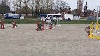 Cahil v Cornet Obolensky und Lucas Wenz  Platz 4 im MSpringen [upl. by Neu]