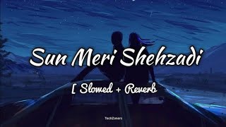 sun meri shehzadi SlowedReverb  Sun mari shehzadi song  lofi song  new song  RGOfficialsong [upl. by Hannaj]