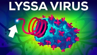 The Deadliest Virus on Earth [upl. by Frieda]