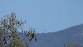 НЛО в Греции  UFO over Athens Kallithea  GREECE [upl. by Dorraj]