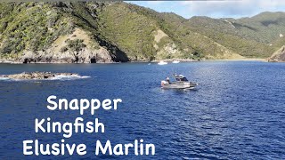 Great Barrier Island Fishing Marlin Pursuit [upl. by Galligan]