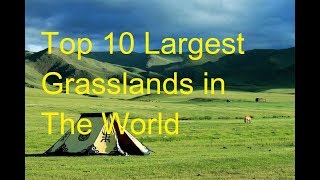 Top 10 Largest Grasslands in The World  World best largest Grasslands [upl. by Michigan]