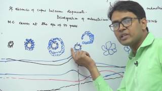 Menstrual Cycle 1  Human Reproduction  Dr Rajeev Ranjan  NEET  Video Lectures [upl. by Yrrep]