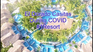 We Traveled to Mexico During Covid 1 Best Resort in RIVERIA MAYA  El dorado royalecasitas [upl. by Calisa398]