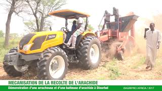 Mécanisation de la récolte de larachide au Sénégal ©AGRIPRO AFRICA [upl. by Whipple22]