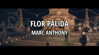 Marc Anthony  Flor Pálida LetraLyrics [upl. by Aohk]