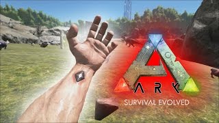 How to Start Out in ARK Survival Evolved [upl. by Bradwell]