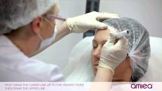 amiea academy for micropigmentation  PERFECT EYEBROWS  Episode 5  Permanent Makeup [upl. by Sidoon]