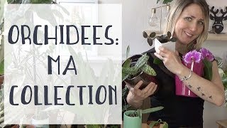 Orchidées  je repars de zéro  Ma collection dorchidées [upl. by Noletta]