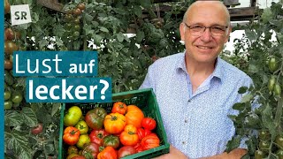 Alte Tomatensorten neu entdeckt  von Küchenchef HansJürgen Sickler  Genuss mit Zukunft [upl. by Amek]