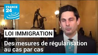 Projet de loi immigration  des mesures de régularisation au cas par cas • FRANCE 24 [upl. by Lira]