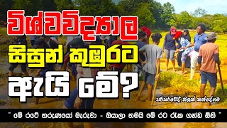 quot කුඹුරට බැහැපු විශ්වවිද්‍යාල සිසුන් quot  University students to the field ThilakKandegama [upl. by Buskirk]