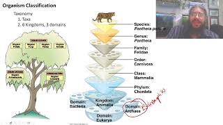 Bio 1081 Lecture 05  Systematics amp Phylogenetics Spring 2024 [upl. by Wurster]