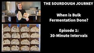 When is Bulk Fermentation Done  Episode 1  “The 30 Minute Effect” [upl. by Nicol]