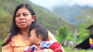 Documental Indígenas Uwa Colombia  Guardianes de la Madre Tierra [upl. by Wiese]