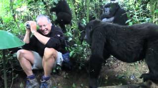 Extraordinary Encounter with Mountain Gorillas in Bwindi Uganda [upl. by Rehpotsrhc]