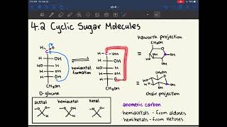 MCAT Biochemistry Ch 4 Carbohydrate Structure and Function [upl. by Nahtad]