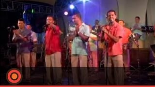 Grupo Galé  Como Duele Llorar Live [upl. by Niel]